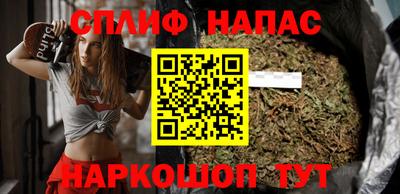 молекула духа Пенза