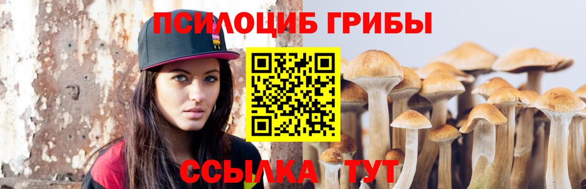 Октябрьский  Галлюциногенные грибы Psilocybe  Вход с VPN 